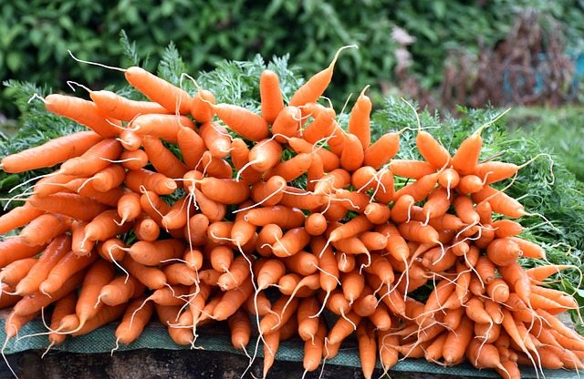 vegetable, fresh, carrot