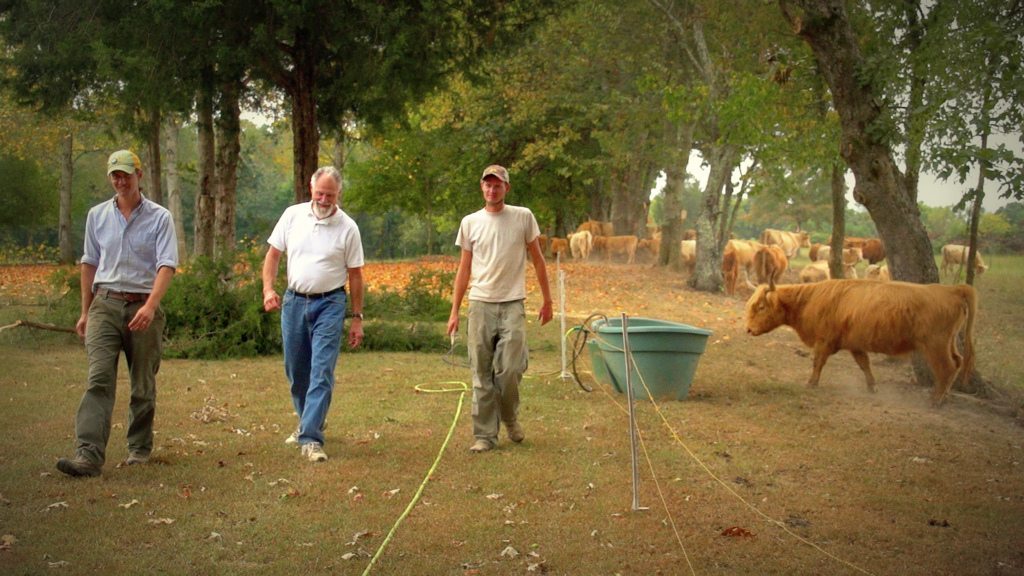 Getting off the modern grid by building agrarian community, with Franklin Sanders