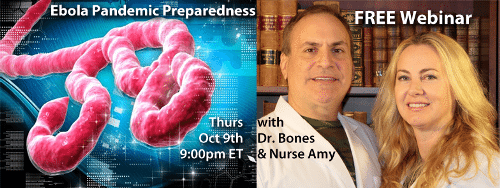 Ebola Pandemic Preparedness webinar