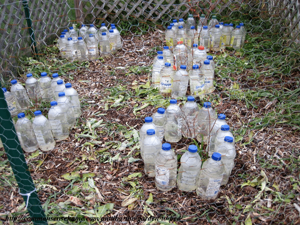 Ending the Gardening Season