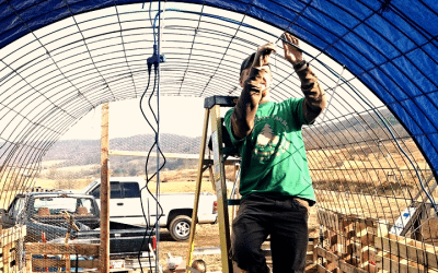 Building a Homestead from the Ground Up