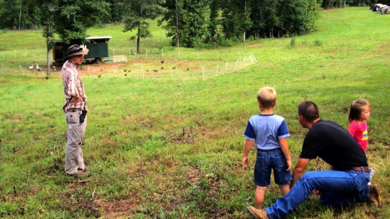 Noah teaching pastured chickens 800x450