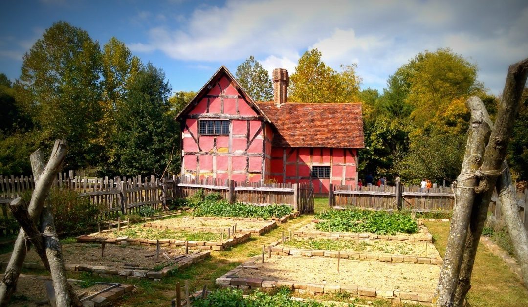 Starting Seeds and Caring for Seedlings – Video